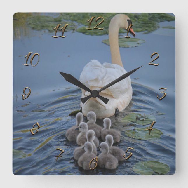 Swans Square Wall Clock (Front)