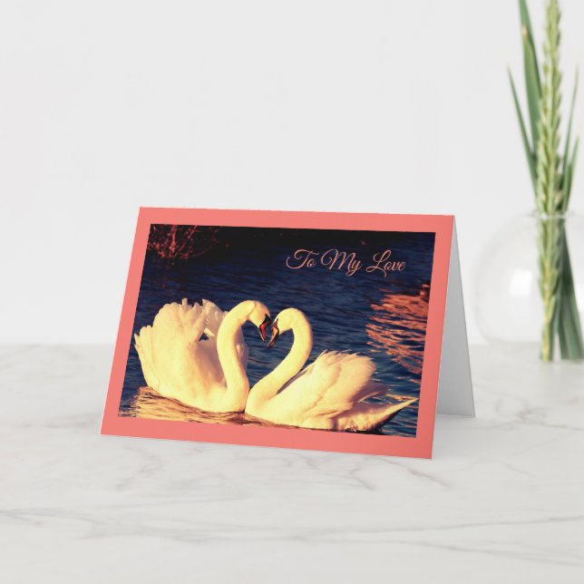 Swans Valentine's Day Card (Front)