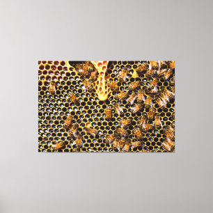 swarm of bees on honeycomb canvas print