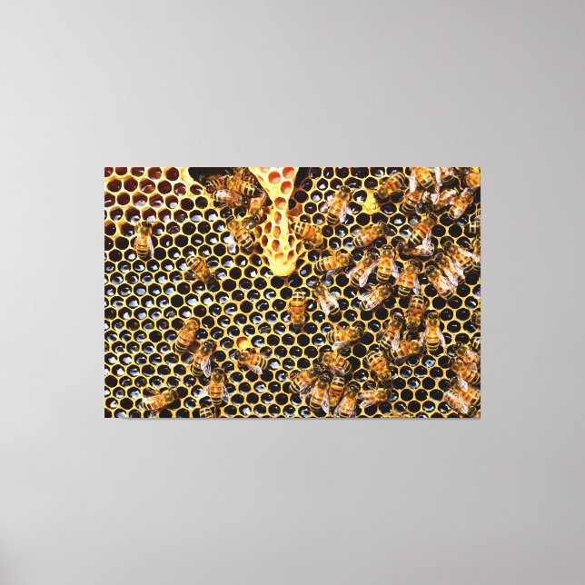 swarm of bees on honeycomb canvas print (Front)