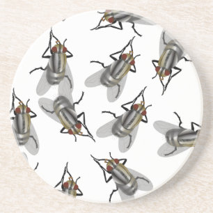 Swarm of Flies Coaster