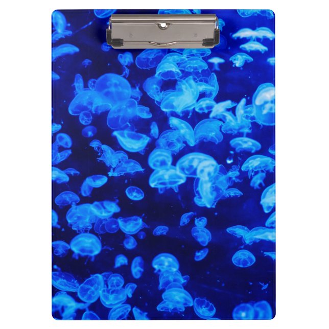 Swarm of Jellyfish Clipboard (Front)