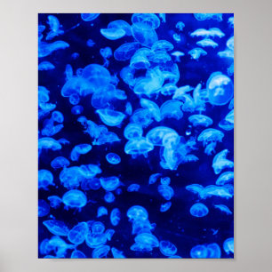 Swarm of Jellyfish Poster