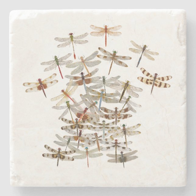 Swarming Dragonflies Coaster (Front)