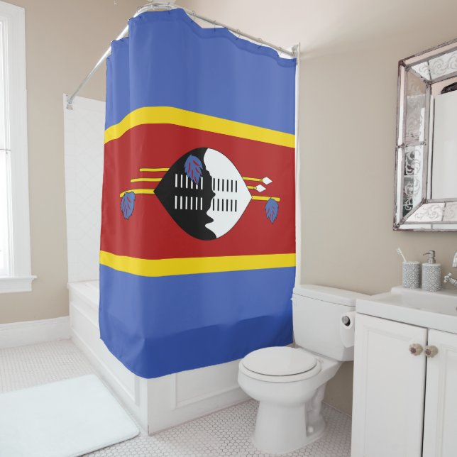 Swaziland flag (In Situ)