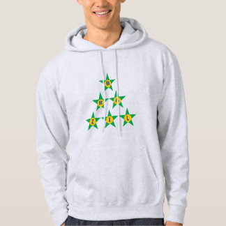 Sweat à capuche cendre  DESIGN  ETOILES  BRAZIL