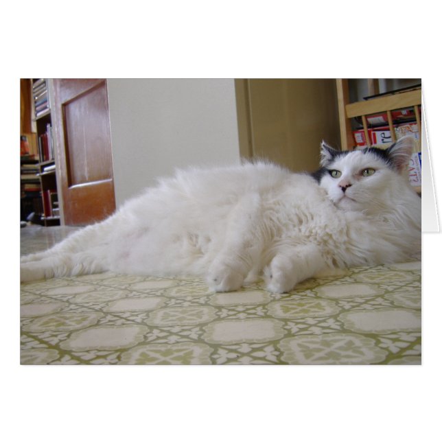 Sweat Pea (Front Horizontal)