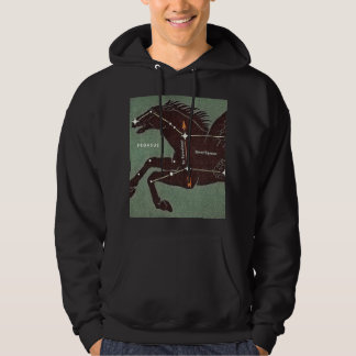 Sweat - shirt à capuche
