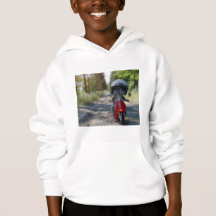 sweat - shirt à capuche