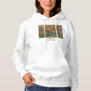 Sweat - shirt à capuche Alley Spring View