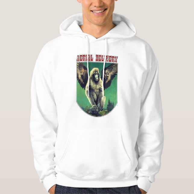 Sweat - shirt à capuche de livraison aérienne de s (Devant)