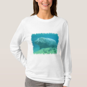 Sweat - shirt à capuche d'habitat de Hippopatumus