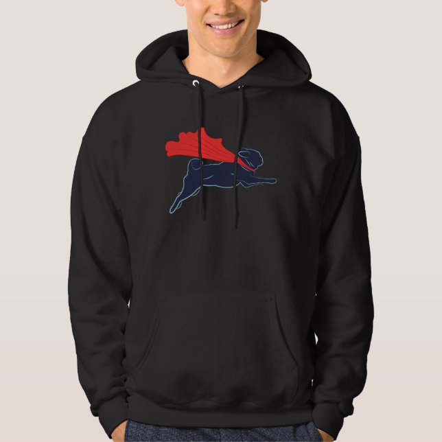 Sweat - shirt à capuche superbe de carlin (Devant)
