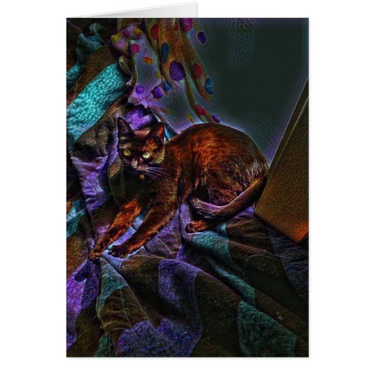 Sweatheart Kitty Card