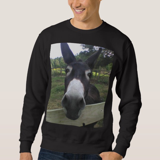 Sweatshirt (Devant)