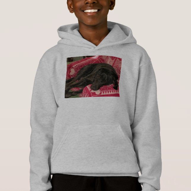 Sweatshirt à capuchon pour chien endormi (Devant)
