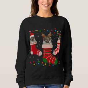 Sweatshirt Amusants Maine Coon Stocker Noël Chaussettes de No