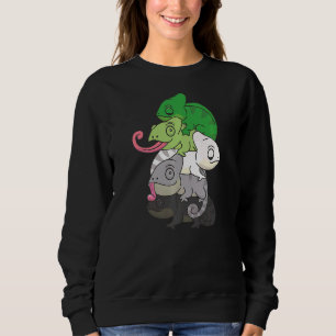 Sweatshirt Aromantic Drapeau Genre Fierté Lgbtq Chameleon