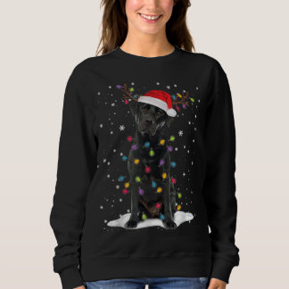 Sweatshirt Black Lab Labrador Christmas Tree Light Pyjama Chi
