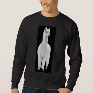 Sweatshirt blanc d'alpaga