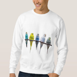 Sweatshirt Budgies
