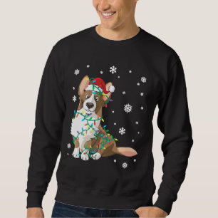 Sweatshirt Cardigan Welsh Corgi Enveloppé Dans Les Lumières D