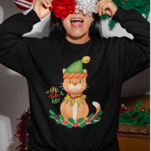 Chat de Noël amusant