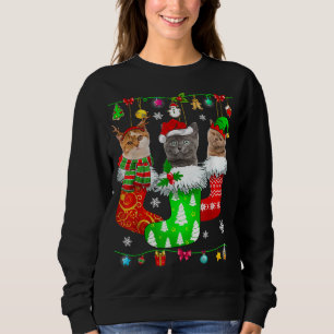 Sweatshirt Chaussettes de Noël Pyjama Chat Kitten Lover Chat 