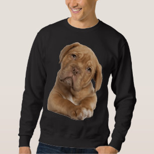 Sweatshirt Chien Pitbull