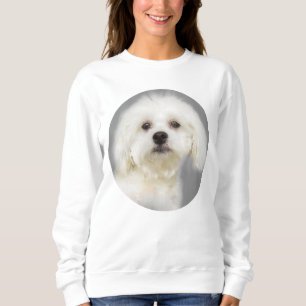 Sweatshirt Chiot blanc maltais