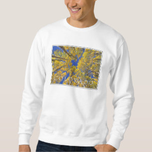 Sweatshirt Colorado automne Forêt de trembles en automne