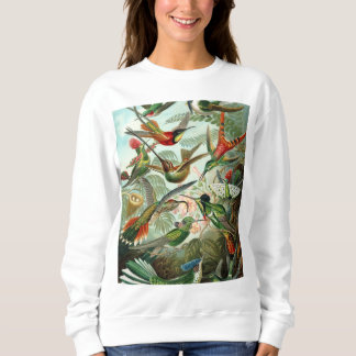 Sweatshirt Copie d'antiquité de colibri