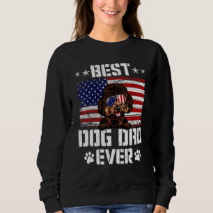 Sweatshirt Drapeau américain 4° de