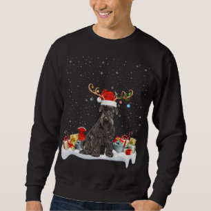 Sweatshirt Drôle Éclairage de Noël renne Santa Hat Schnauzer 