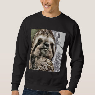 Sweatshirt Fente réfrigérée