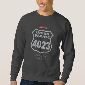 SWEATSHIRT GRAND GARÇON 4023