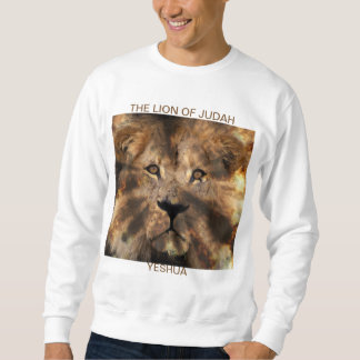 Sweatshirt habillement chrétien