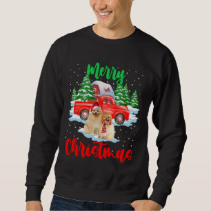 Sweatshirt Joyeux Noël Père Noël Pomeranian Camion