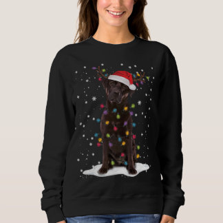 Sweatshirt Laboratoire de chocolat Labrador Arbre de Noël Pyj
