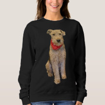 Le sweat-shirt à l'Airedale obstiné
