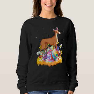 Sweatshirt Lévrier de Pâques Œuf de Pâques dimanche de Pâques