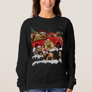 Sweatshirt Lion équitation Camion Rouge Joyeux Noël X mas Lai