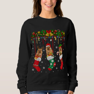 Sweatshirt Norwich Terrier