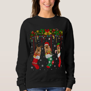 Sweatshirt Norwich Terrier