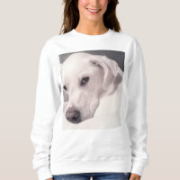 Photo du magnifique chien blanc de Regal