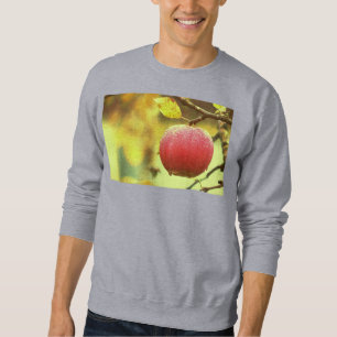 Sweatshirt "Pomme rouge sur arbre" jolie photo. Commandez dès