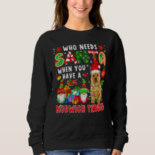 Sweatshirt Qui a besoin du Père Noël quand on a un Norwich Te