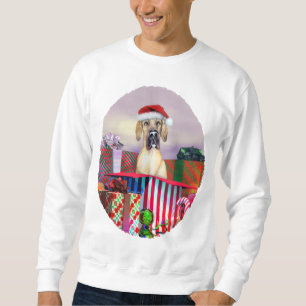 Sweatshirt Super Dane Noël Surprise Faune UC