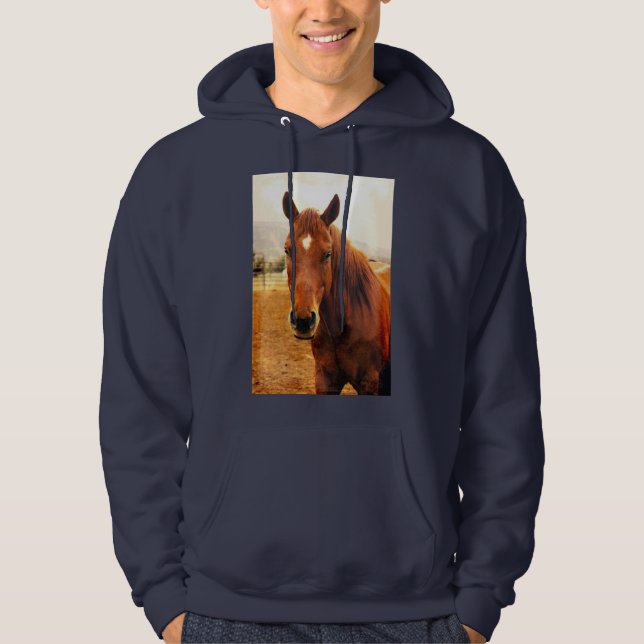 Sweatshirt Sweat - shirt à capuche Big Braxton (Devant)