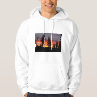 Sweatshirt Sweat - shirt à capuche de l'Oregon Sun